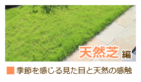 DIYで天然芝